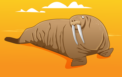 A Walrus drawn in Adobe Illustrator